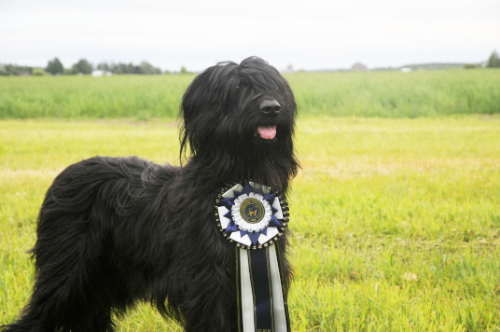 Black Death Hulotte, kuva Minna Saarimaa